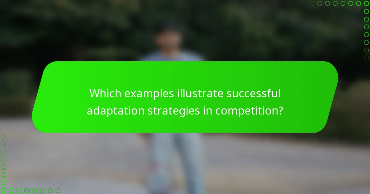 Which examples illustrate successful adaptation strategies in competition?
